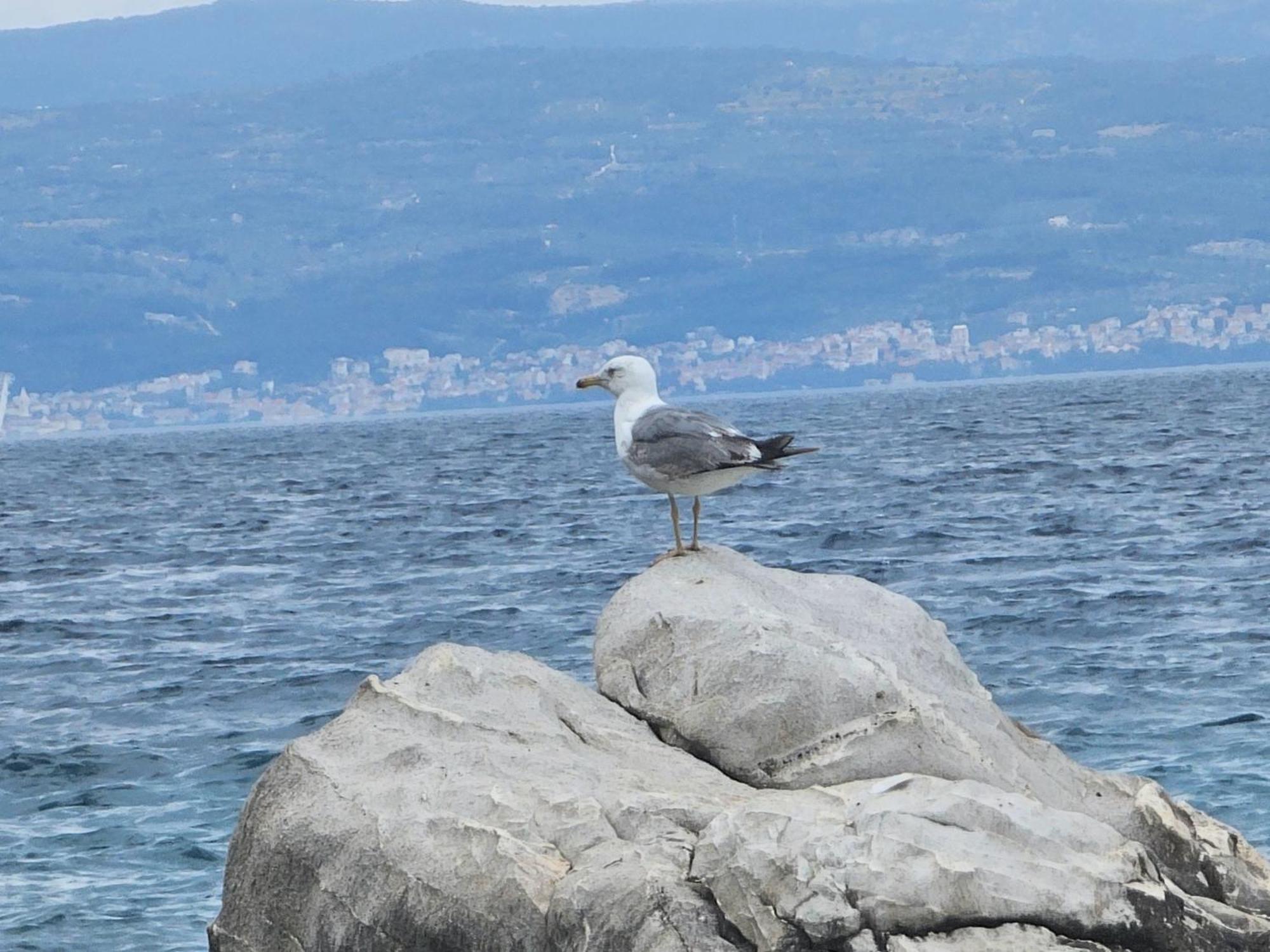 Apartment With A Magical View Split Buitenkant foto
